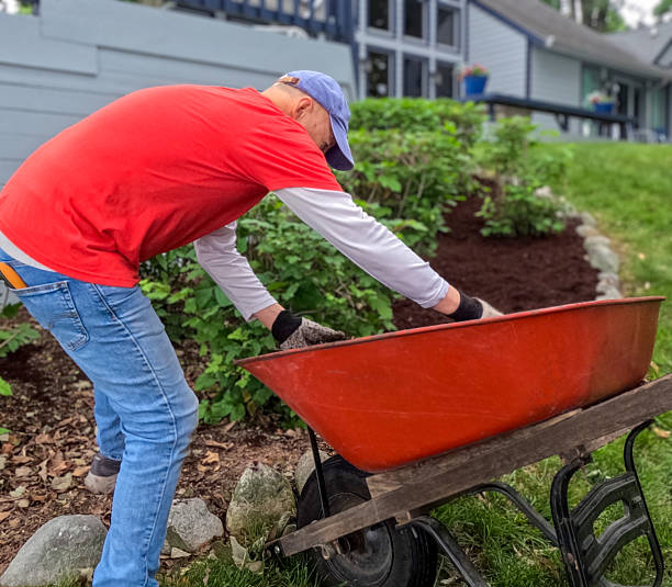 istock Mature Man Working in His Yard 2220015579