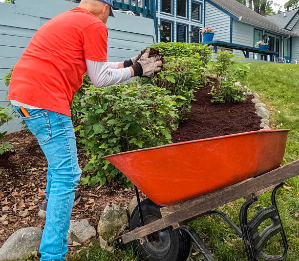 istock Mature Man Working in His Yard 2220016007