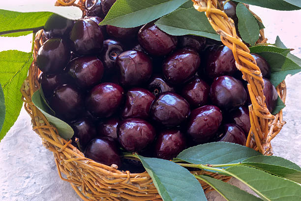 istock Ripe sweet cherry berries  in wicker basket in rustic style. 2220017283