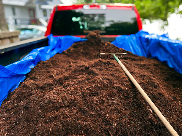 istock Pickup Truck Bed Filled with Mulch 2220017377