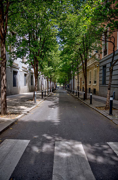 istock Tree lined streets in the Centro district of Madrid in Spain 2220022287