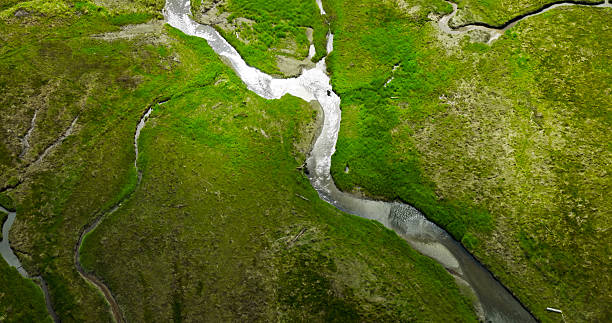 istock Top Down Drone Shot of Rivulets Crossing Wetland 2220022734