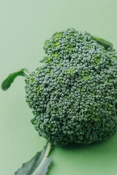 istock Closeup of broccoli texture showing healthy florets 2220025352