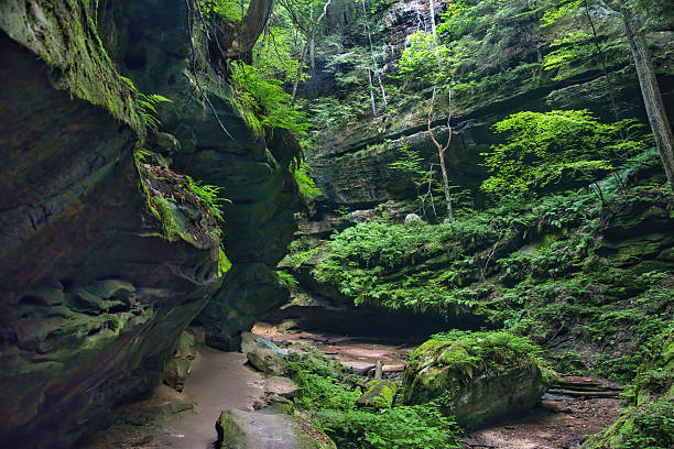 Immersive summer landscape of a trail passing through a rocky gorge with lush green trees and shrubs at Hocking Hills State Park in Hocking County, Ohio.