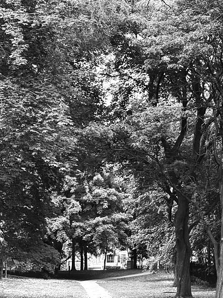 istock Suydam Park, Forest Hill, Toronto 2220029912