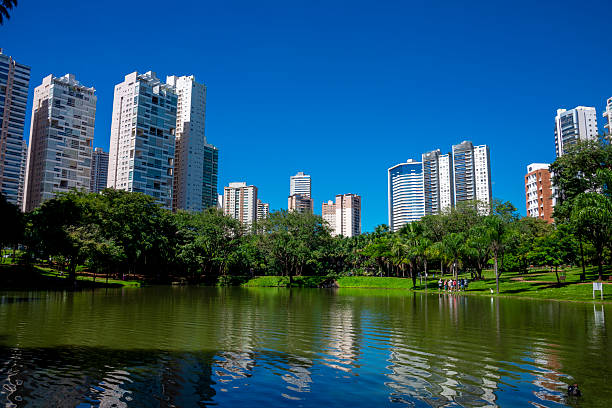 istock Flamboyant park in Goiania 2220032404