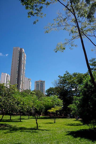 istock Parque Flamboyant in Goiania 2220036854