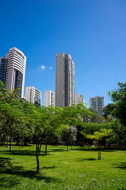istock Parque Flamboyant in Goiania 2220037109