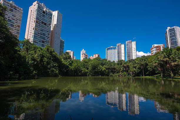 istock Park Flamboyant in Goiania 2220039784