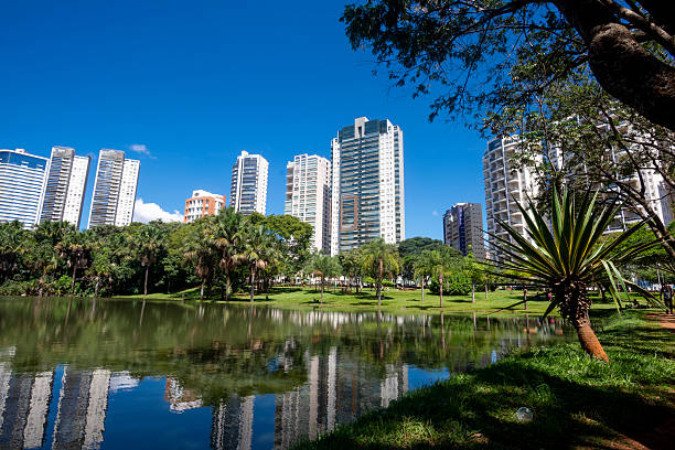 istock Park Flamboyant in Goiania 2220039992