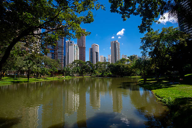istock Park Flamboyant in Goiania 2220040095