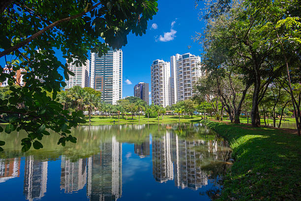 istock Park Flamboyant in Goiania 2220040372