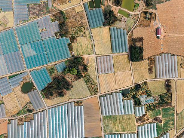 istock Aerial of greenhouse 2220041052