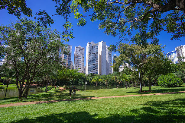 istock Park Flamboyant in Goiania 2220041403