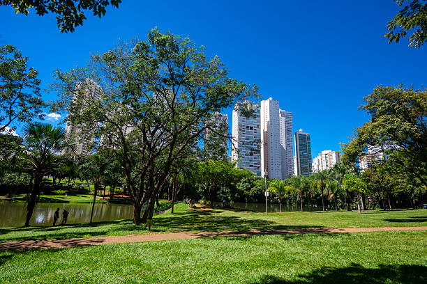 istock Park Flamboyant in Goiania 2220041498