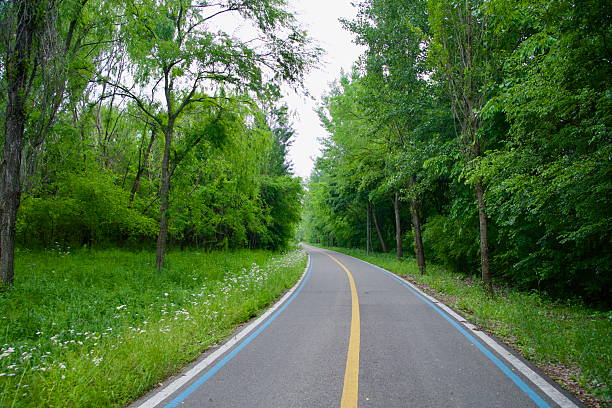 istock Curving cycling path through forest in Gangseo Hangang Park 2220048154