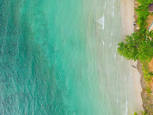 istock Sea beach wave white sand beach coconut tropical tree forest turquoise water summer vacation 2220048846