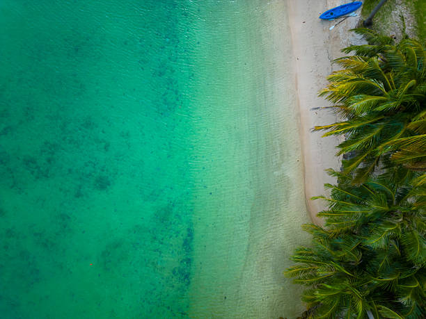 istock Sea beach wave white sand beach coconut tropical tree forest turquoise water summer vacation 2220049096