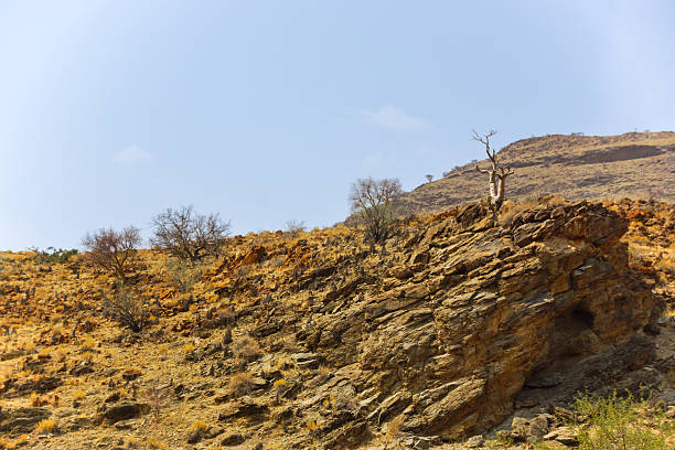 Detailed view of mountain surface in winter (Charyn canyon, Kazakhstan)