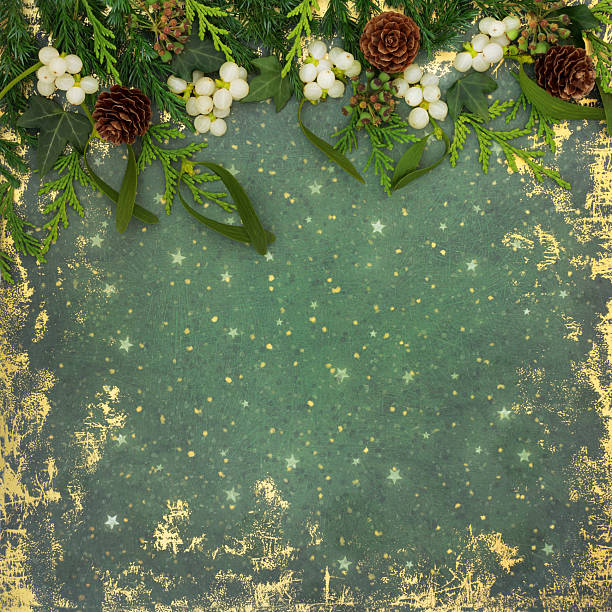 Christmas winter solstice flora of mistletoe, ivy, fir, pinecones on grunge green background. Traditional nature design with gold pattern. Design for Xmas, Noel, Yule.