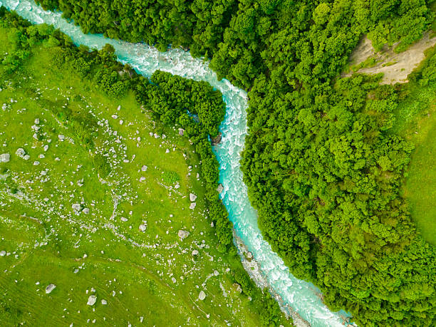 istock Mountain river with green trees and fresh green grass. Aerial top down view. 2220061563