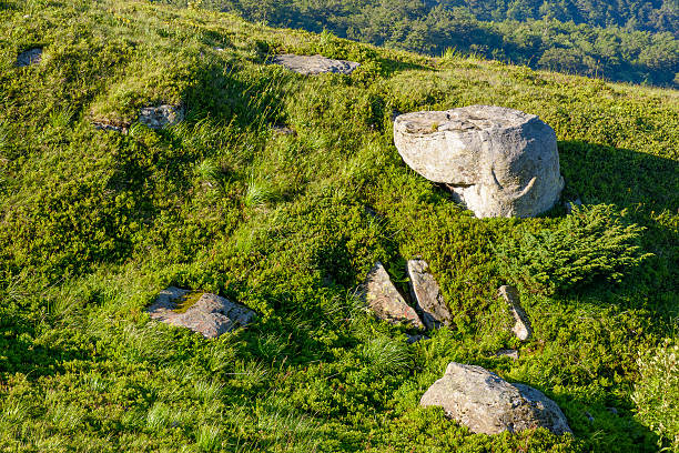 pile of rock boulder on the grassy slope. limestone boulders in morning light