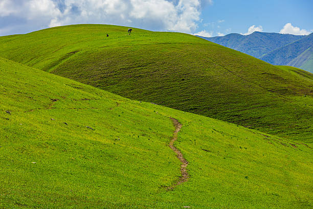 Winding footpath across grassy hills with distant horse and mountains in background