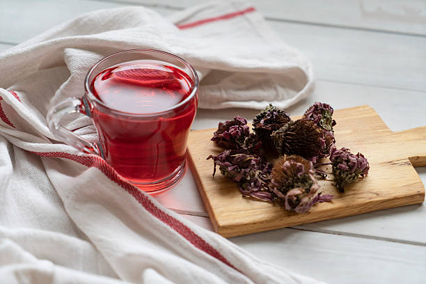 Echinacea Dried Flowers and Echinacea Tea