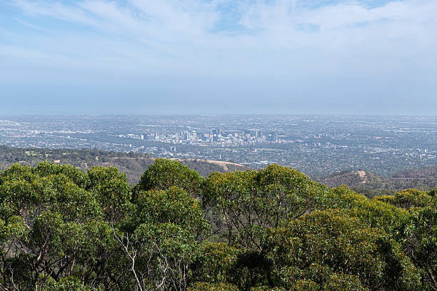 istock Looking west over woodland at Adelaide, South Australia from Mount Lofty 2220077071