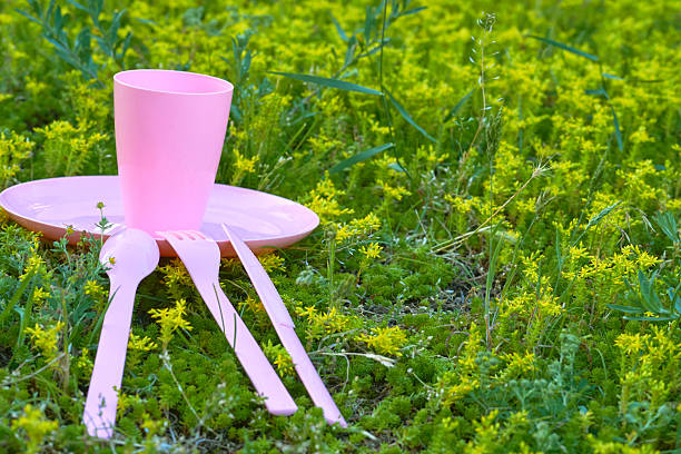 istock Campsite picnic.Pink plastic dinnerware set.Cup,fork,knife,spoon,plate 2220083161