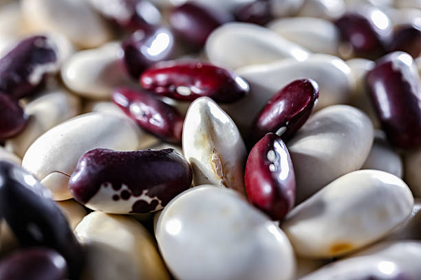 Close-up of kidney beans.