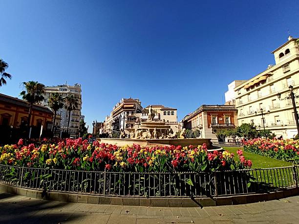 istock Beautiful flowers, Sevilla, Spain 2220086856