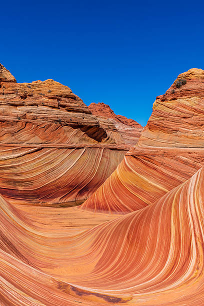 istock The Wave in Vermilion Cliffs, Arizona-Utah border. 2220098127