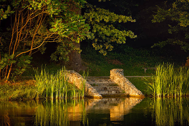 Stone steps reflected in a calm forest lake with reeds, surrounded by lush greenery and lit by warm golden sunset light. Peaceful nature scene perfect for themes of rest and solitude.