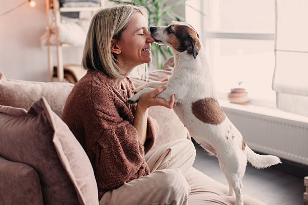 istock Middle age Woman with her Dog resting on sofa at Home 2220102047