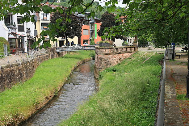 istock Seffersbach waters in Merzig in Saarland 2220107961