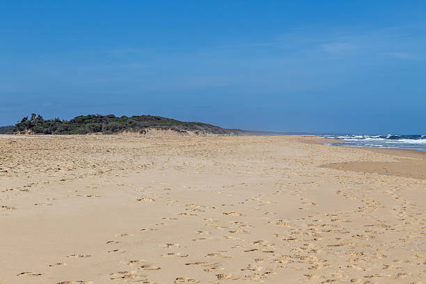 istock Footprints on Sandy Beach at Lake Tyers, Victoria, Australia 2220112883