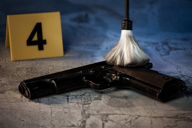 Disassembled rifle with cleaning tools on table of weapons workshop close up