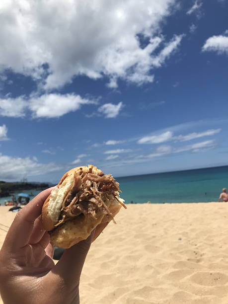 istock Kalua Pork Sandwich Beach Sweet Roll Closeup 2220117786