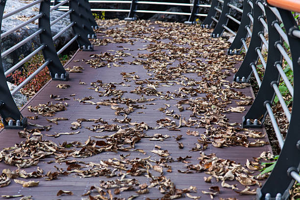Autum leaves on wooden deck