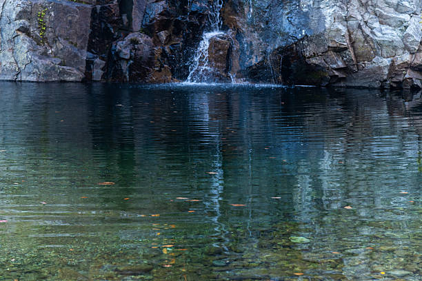A small waterfall is surrounded by rocks and trees. The water is brown and the rocks are brown as well. The scene is peaceful and serene