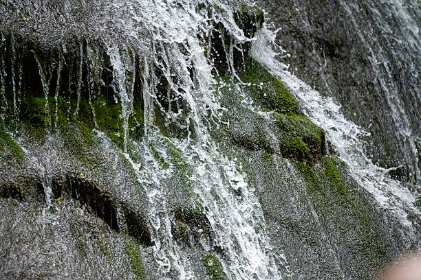 High waterfall in dark forest dark green plants around, logs below of waterfall