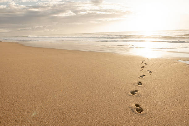 istock Footprints in the sand on a golden beach 2220123391