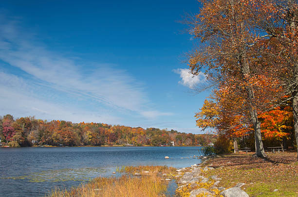 istock autumn foliage around the pond at mount tom state park in connecticut 2220125057