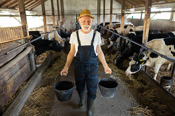 istock Farmer with Buckets in Dairy Farm 2220128107