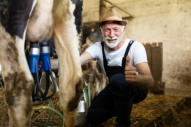 istock Smiling Farmer Milking a Cow with Equipment 2220128133