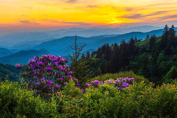 istock Smoky Mountain Sunset 2220129923
