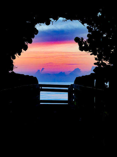 Path to the beach at sunrise, background with copy space, full frame horizontal composition