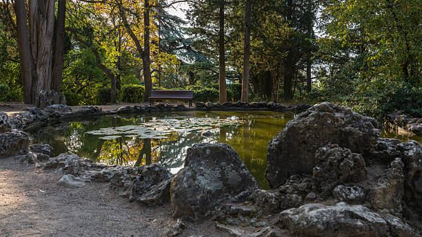 istock Quiet pond surrounded by lush trees and large boulders with a lonely bench in the background inviting one to rest and reflect. Huge trees grow in the old shady Massandra Park in Crimea 2220139113