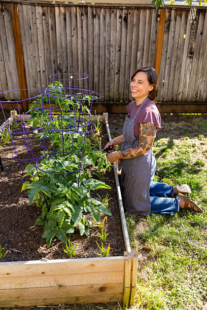 istock Summer Gardening at Home 2220142038
